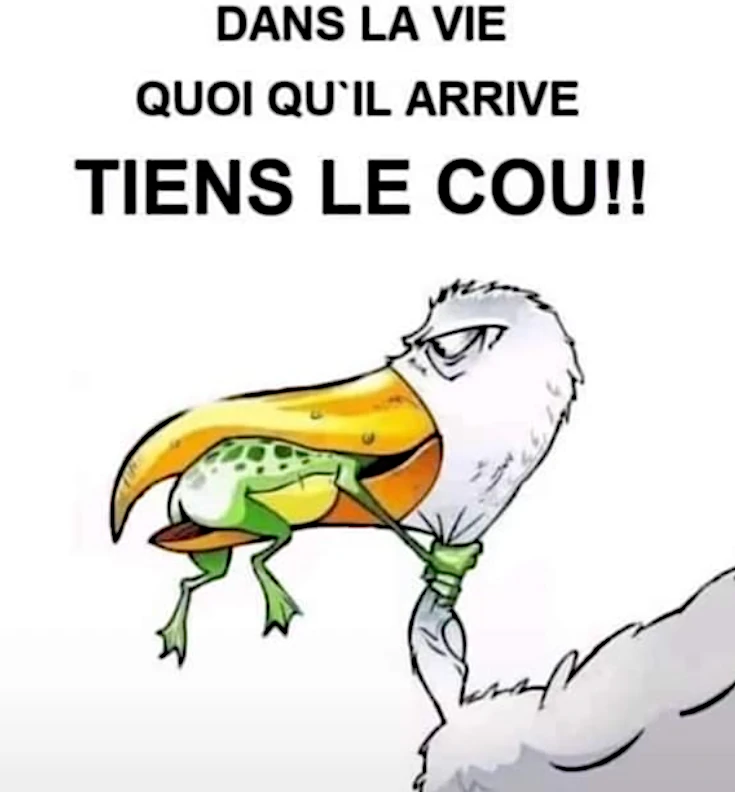 LE COUP alebo LE COU ?